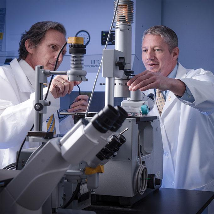 two doctors in the lab