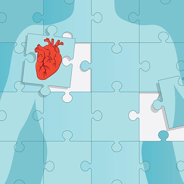 Illustration of a human with the chest area represented by jigsaw shaped puzzle pieces.